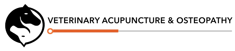 photo-11.png
