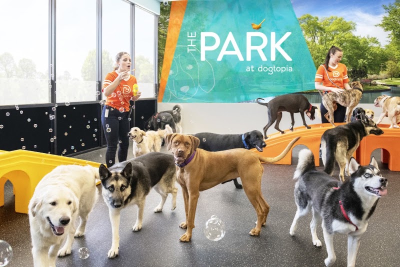 Dogtopia Dog Day Care & Dog Boarding