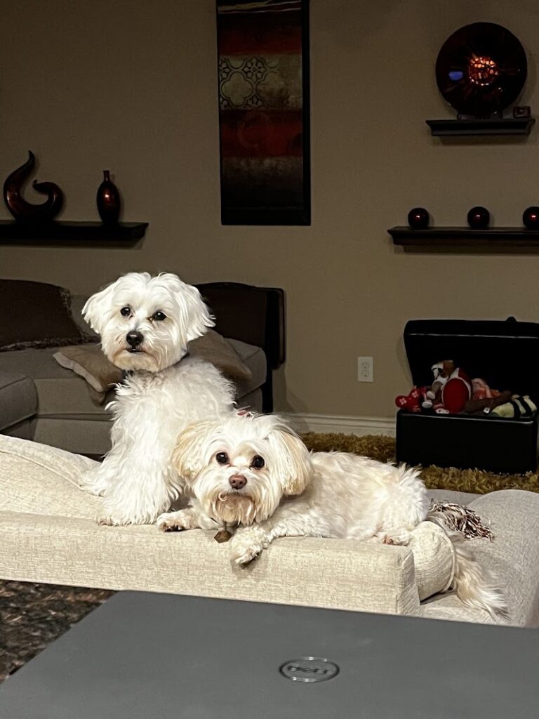 photo-276.jpg
